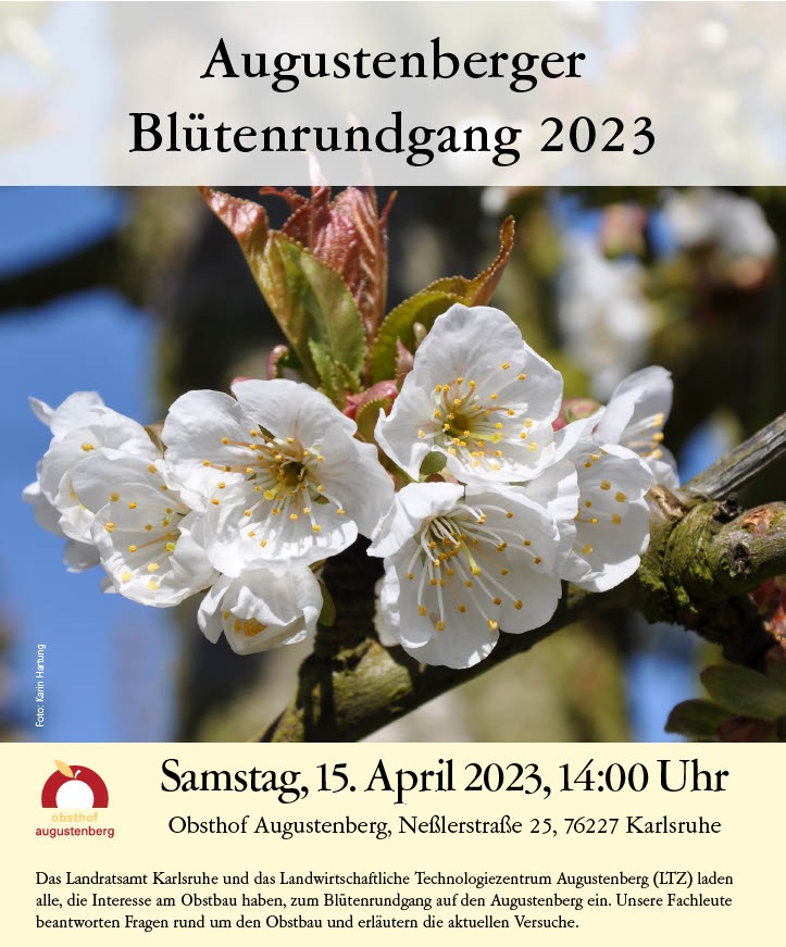 2023 04 15 Augustenberger Bltenrundgang1024 1