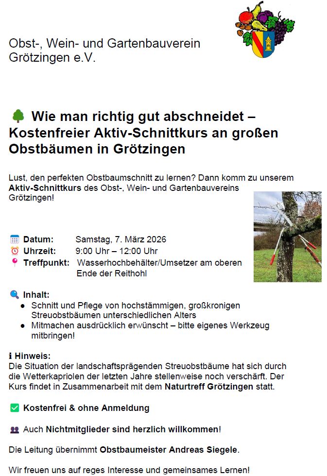 WhatsApp Image 2026 02 18 at 18.59.50