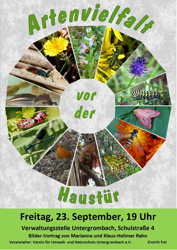 2022 23. September Vortrag Artenvielfalt vor der Haustür Plakat.docx pages to jpg 0001